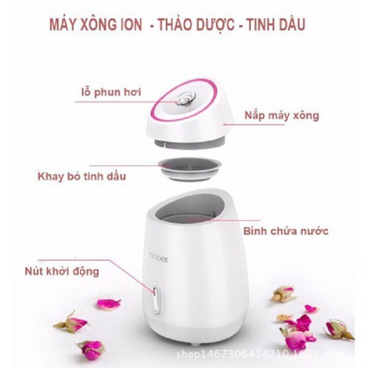 [XẢ KHO+FREE SHIP] MÁY XÔNG DA MẶT THẢO DƯỢC,HOA QUẢ TƯƠI TỰ ĐỘNG 2 IN 1 MAOER -Rẻ nhất