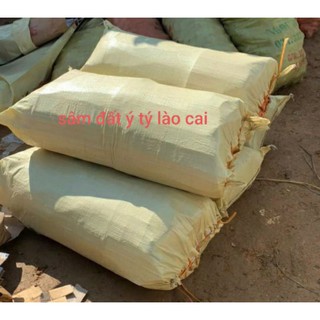 Combo 10kg Sâm đất Sapa Lào Cai