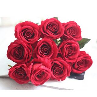 Combo 10 nhánh hoa hồng nhung loại đẹp