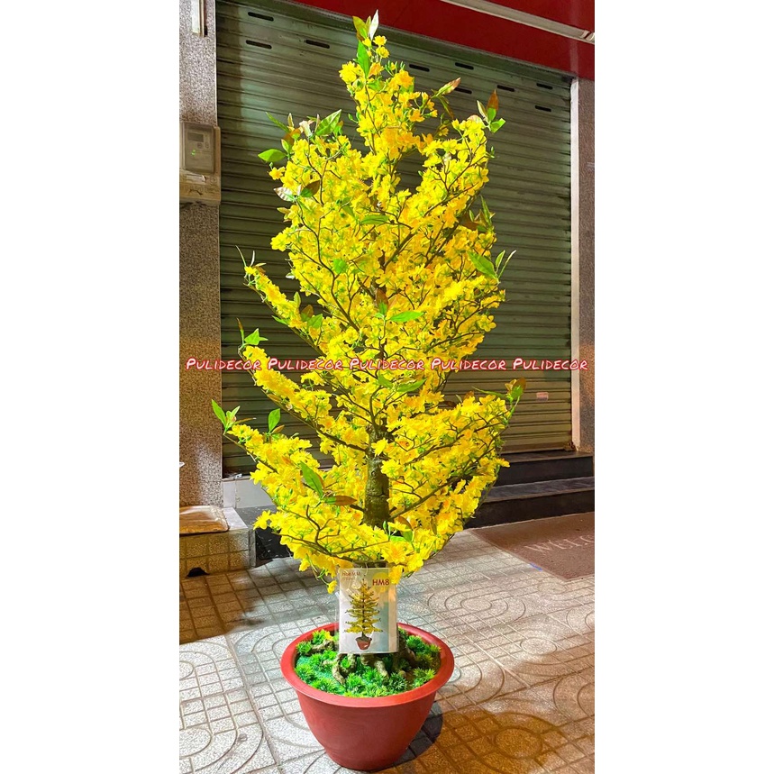 CÂY MAI GIẢ CAO 1M75 NHỰA ĐÚC THÁO LẮP DỄ DÀNG GIÁ SIÊU TỐT