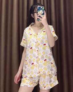 Bộ ngu cute
