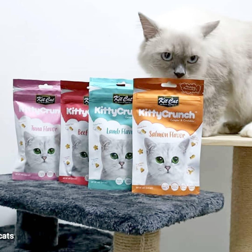 Bánh thưởng cho mèo Kit Cat kitty crunch 60g, thức ăn snack vặt huấn luyện mèo con lớn Con Mèo Xiêm