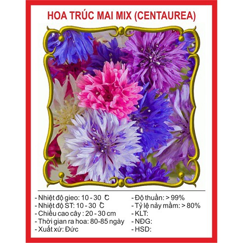 Hạt Giống Hoa Trúc Mai Mix 50 Hạt