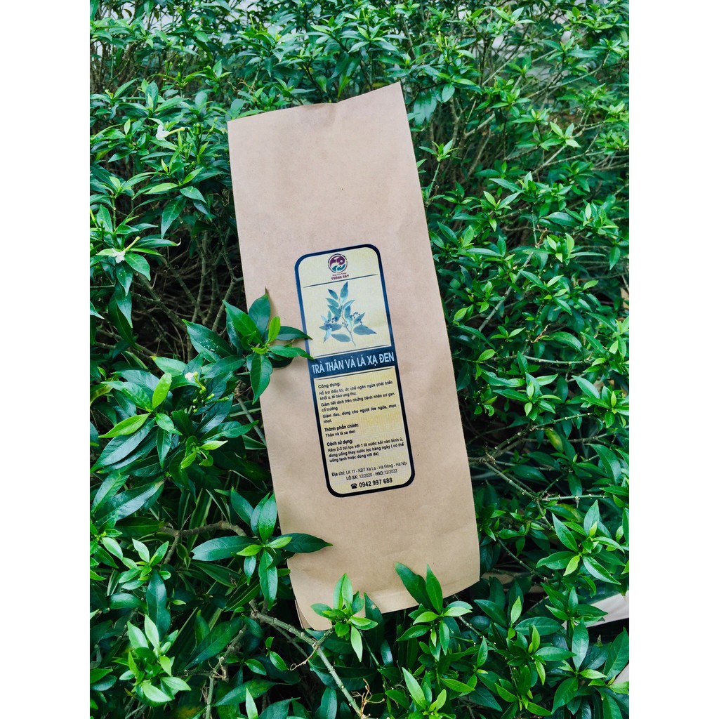 Set quà tặng tết SỨC KHỎE VÀNG Thông Cát tăng cường sức đề kháng, bảo vệ sức khỏe - Combo quà Tết 2022 | BigBuy360 - bigbuy360.vn