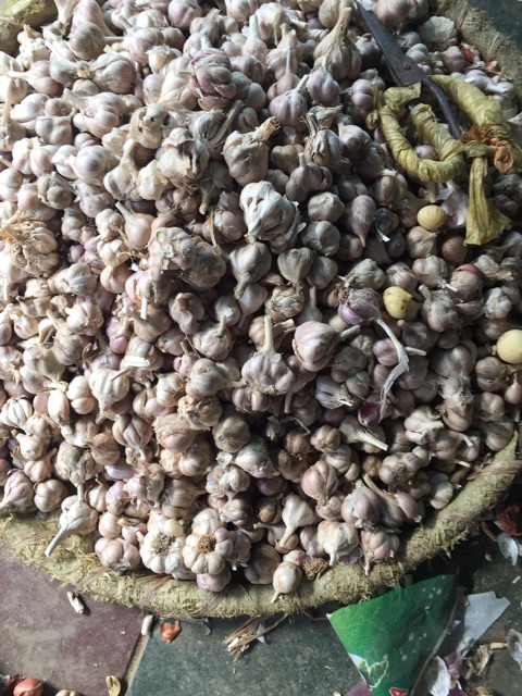 Tỏi ta cắt cuống