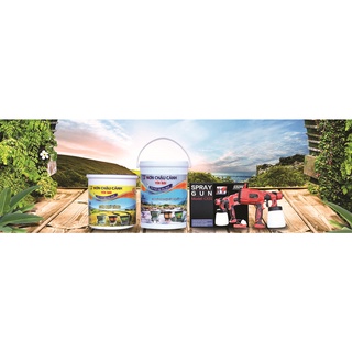 Sơn chậu cảnh yên bái loại 5l sơn hệ nước chuyên dụng lót kiềm sẵn quét 1 lớp duy nhất !!