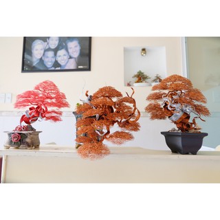 Dây Đồng Màu