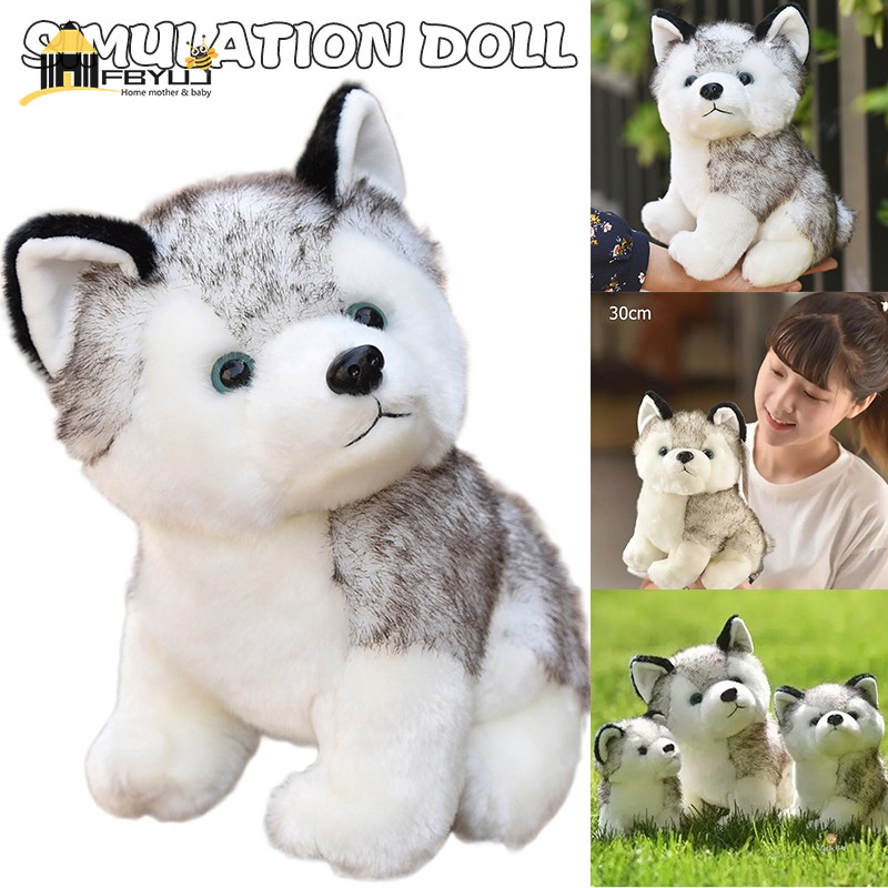 Chó Husky Nhồi Bông Đáng Yêu