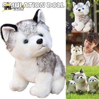 Chó Husky Nhồi Bông Đáng Yêu