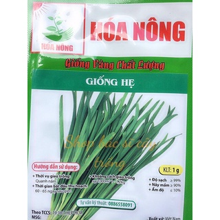 1 gram hạt giống hẹ dễ trồng