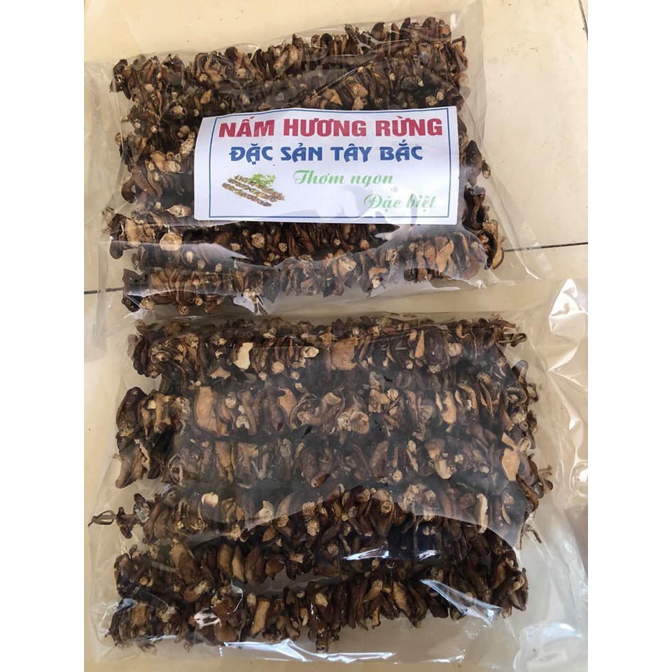 Nấm hươn g rừng Điện Biên 500gram
