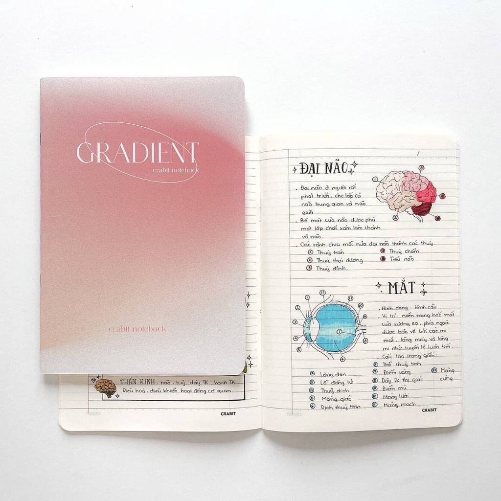 Tập Vở kẻ ngang Crabit 80 trang Gradient Hồng ghi chép sáng tạo