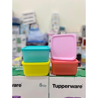 Hộp bảo quản thực phẩm Tupperware Small Summer Fresh