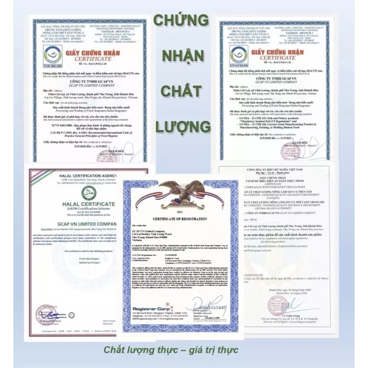 Combo Hộp 200gr (10 Gói) rong nho green Food Organic + tặng 1 Chai sốt mè rang 180ml