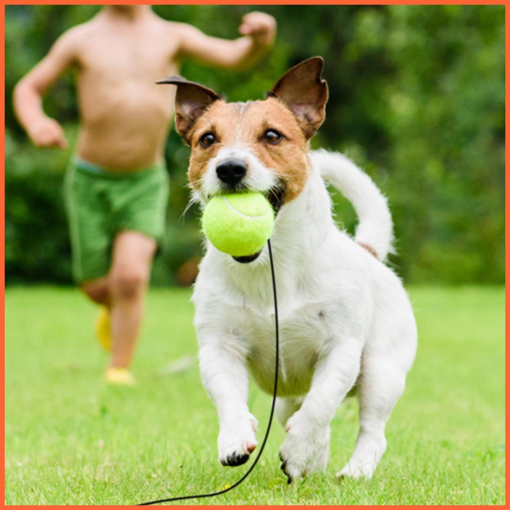 Bóng Tennis Solo Độ Đàn Hồi Cao Hỗ Trợ Luyện Tập Chuyên Nghiệp