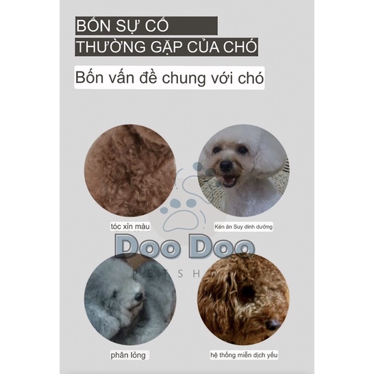 Hạt thức ăn cho chó JIALUN với 65% hàm lượng thịt và thực phẩm