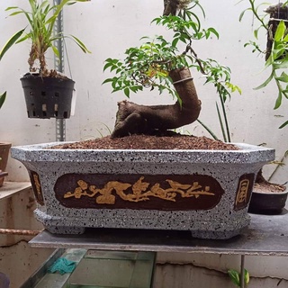 Khuôn đúc chậu cảnh chữ nhật vát góc 55