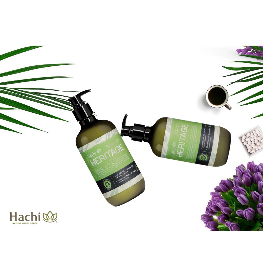 Dầu gội/xả Hachi Heritage dành cho tóc dầu 500g