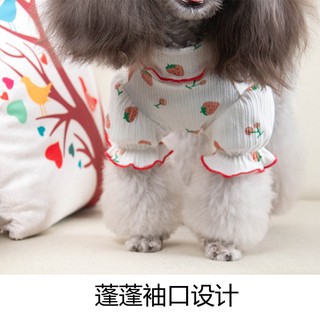 Áo lọ dâu cho thú cưng