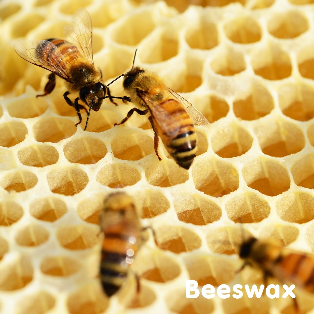 Tinh dầu sáp ong Beeswax Essential Oil (Cera Alba)