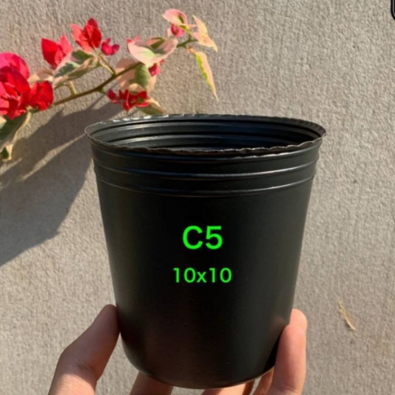 10 chậu nhựa ươm cây C5 kích thước 10x10