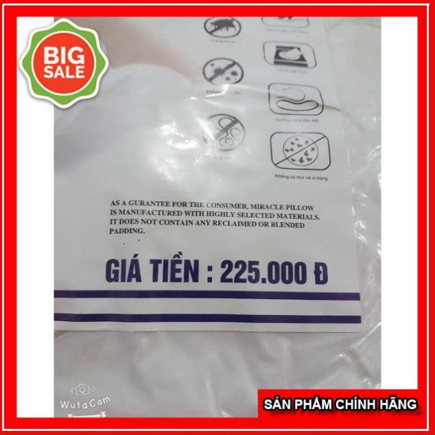 ( SALE 11.11 ) 2 Ruột Gối Bông Hạt Cao Cấp (Lõi Gối Ép chân không TUVIP)