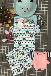 Set 4 bộ bé gái carter