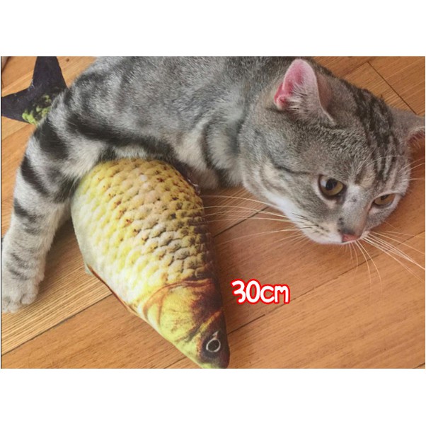 Cá Bông Catnip - Đồ Chơi cho Mèo