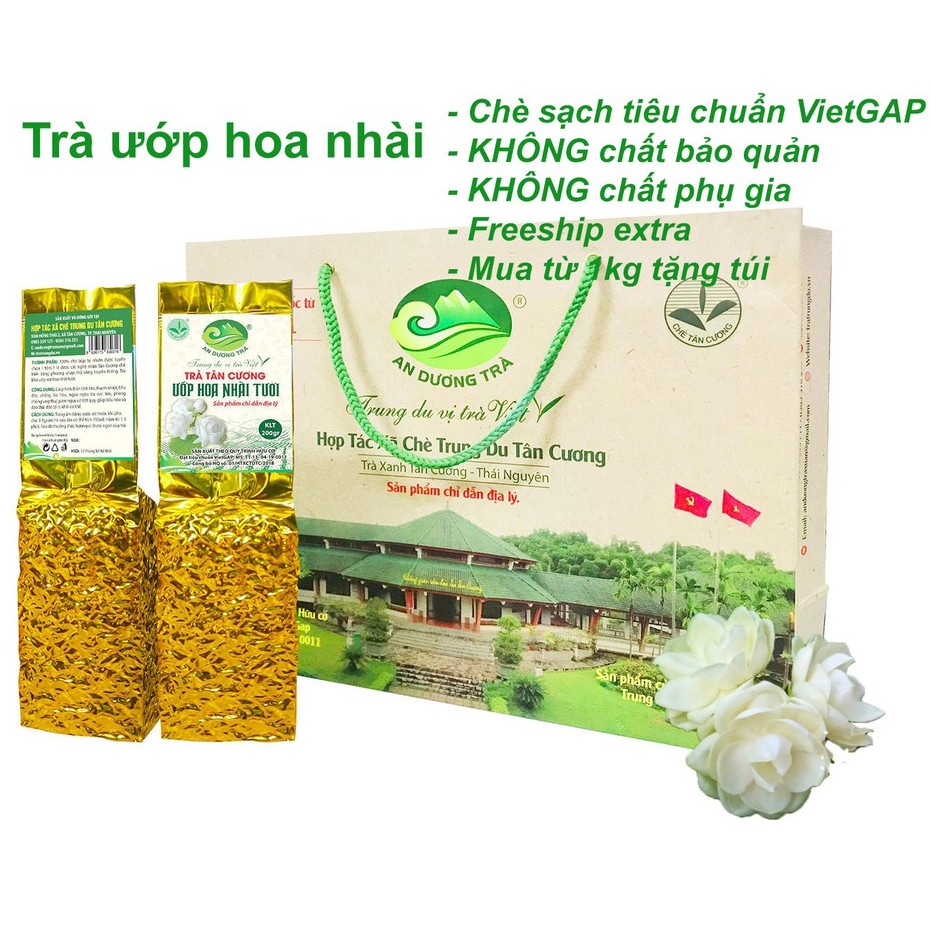 200g Trà Tân Cương Ướp Hoa Nhài Tươi - Chè Trung du Thái Nguyên