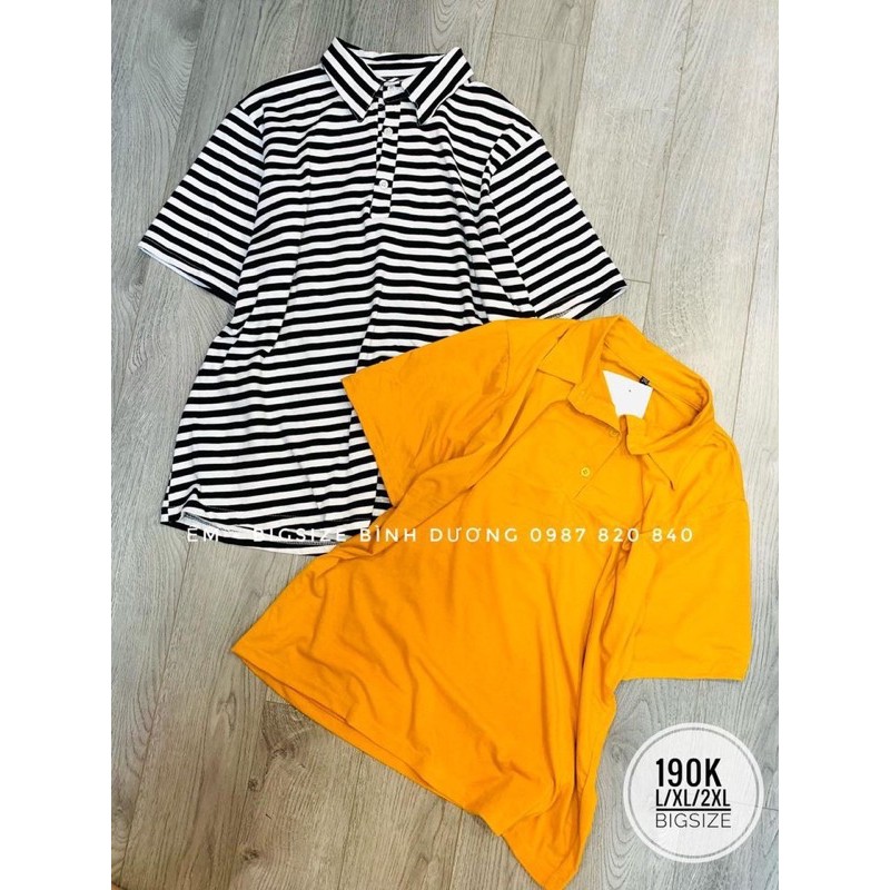 Áo Thun có cổ [Bigsize] | BigBuy360 - bigbuy360.vn