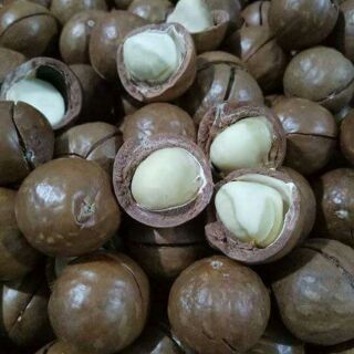 Mắc ca ÚC, free khui