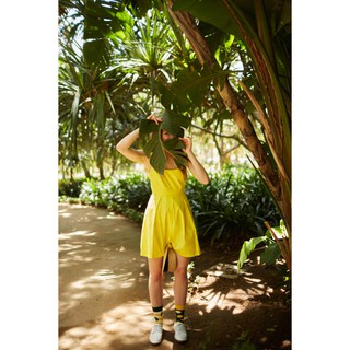 Tất Vớ Cọc Cạch The Lemon Socks