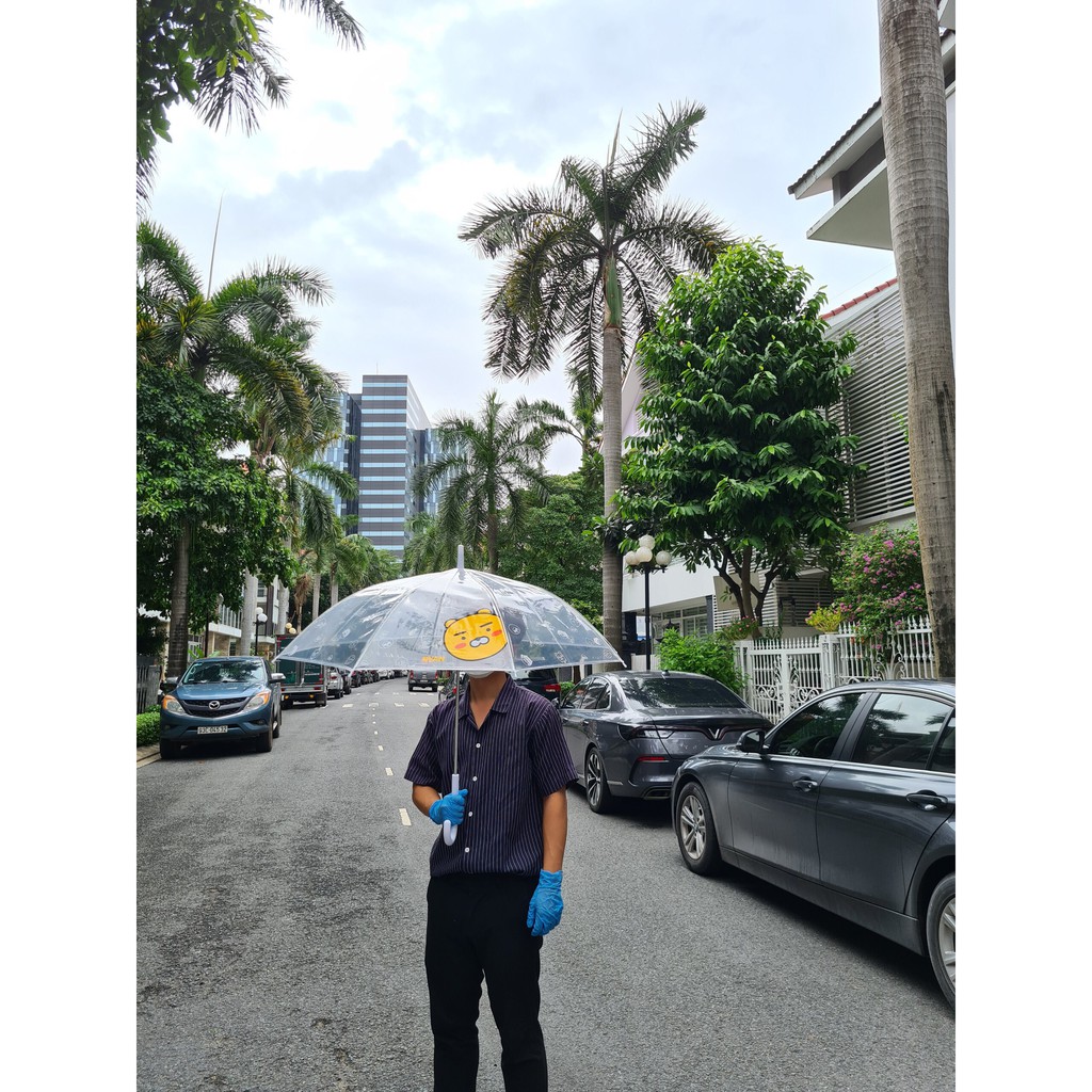 [DÙ HÀN QUỐC] DÙ ĐI MƯA CAO CẤP  비닐 한국 우산