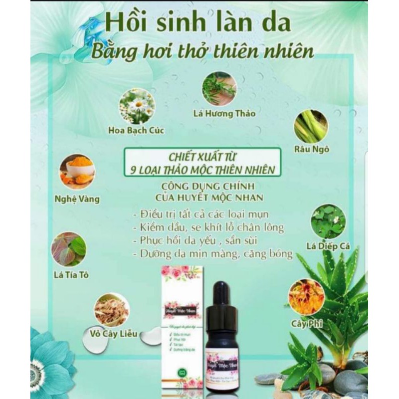 Thảo mộc ngăn ngừa mụn | BigBuy360 - bigbuy360.vn