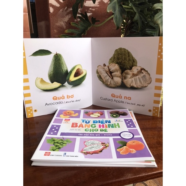 sách-từ điển bằng hình cho bé -các loại hoa quả fruits