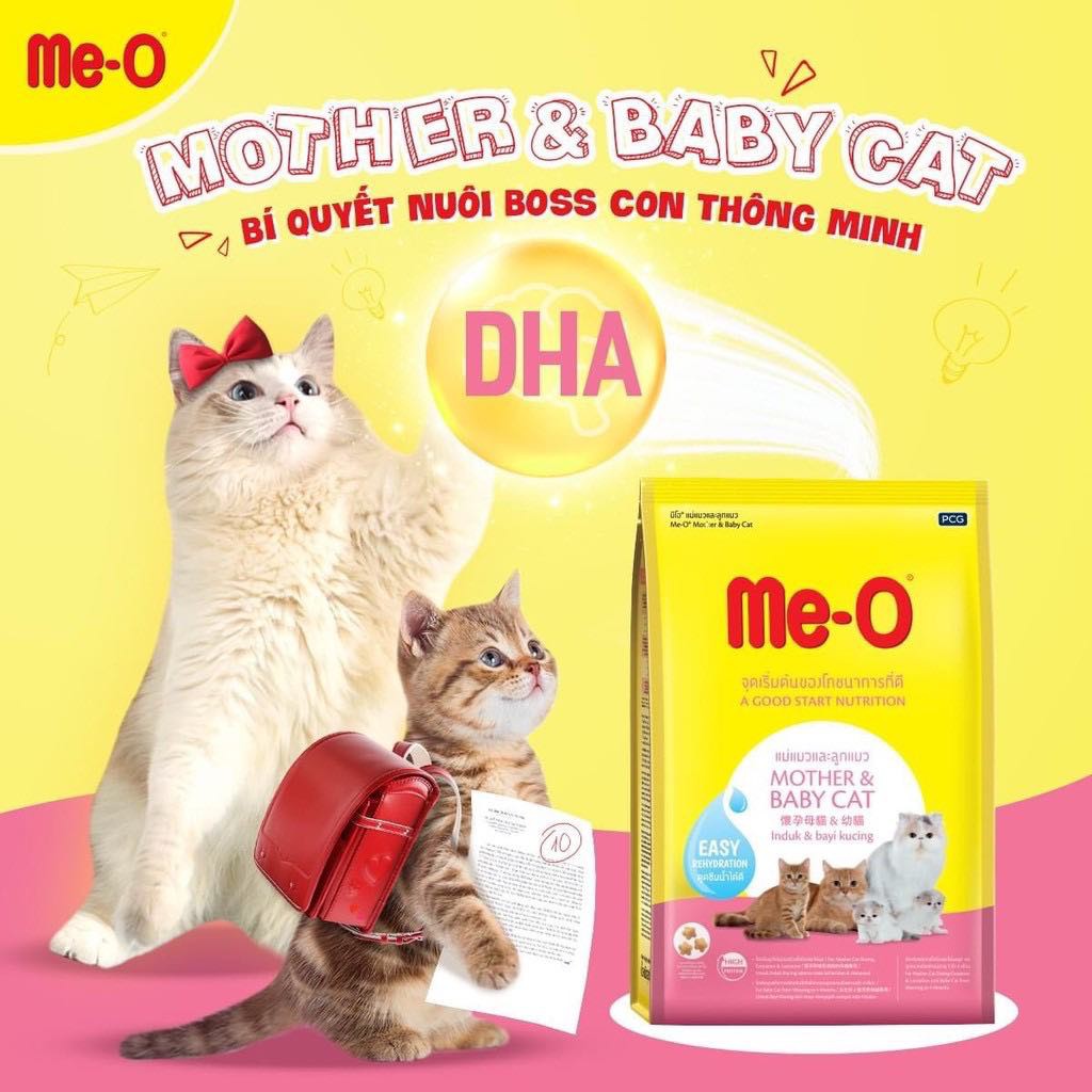 HẠT MÈO MANG THAI VÀ CHO CON BÚ    Me-o Mother &amp; Baby, cho con bú, mèo nhỏ tập ăn hạt bước đầu