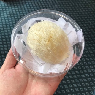 1 Tai Yến Sào Cần Giờ 10gr tặng kèm đường phèn