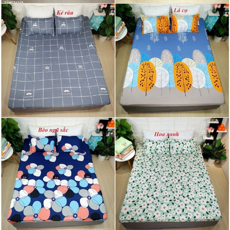 Bộ ga gối cotton poly, được chọn mẫu, gồm 1 ga chun và 2 vỏ gối