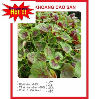 Hạt giống rau Dền Khoang 20gram HOA RAU TRỒNG KỊP TẾT
