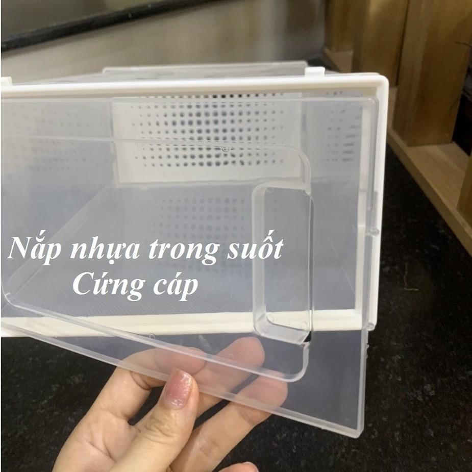 Combo 10 Hộp Đựng Giày Nhựa Cứng Lắp Ráp Cao Cấp, Kệ Đựng Giày Đa Năng Chất Liệu PP Bền Bỉ