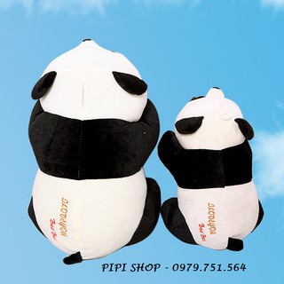 GẤU BÔNG GẤU TRÚC PANDA