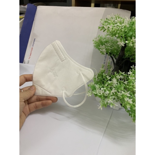 Hộp 10 chiếc khẩu trang 6D TT mask chính hãng