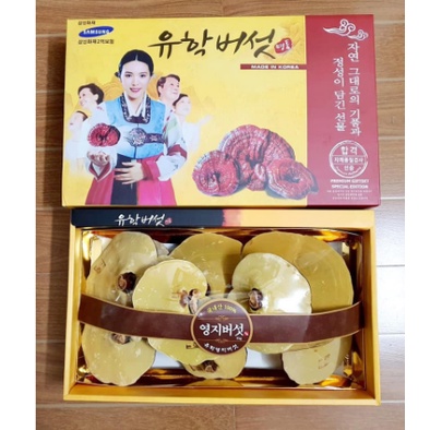 Nấm Linh Chi hộp cô gái
