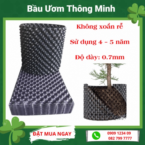 (Combo 2 mét tới) Bầu ươm cây thông minh khổ 0.2m (Green City)