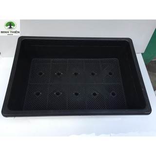 Combo 10 Chậu nhựa trồng rau cỡ lớn Khay trồng rau thế hệ mới size 67cm x 45cm x 21cm màu đen
