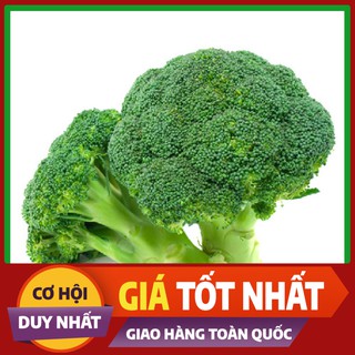 Hạt giống Súp Lơ