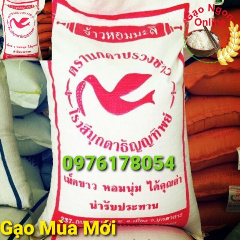 Gạo Tám Thái ( 10kg ) GẠO MỚI