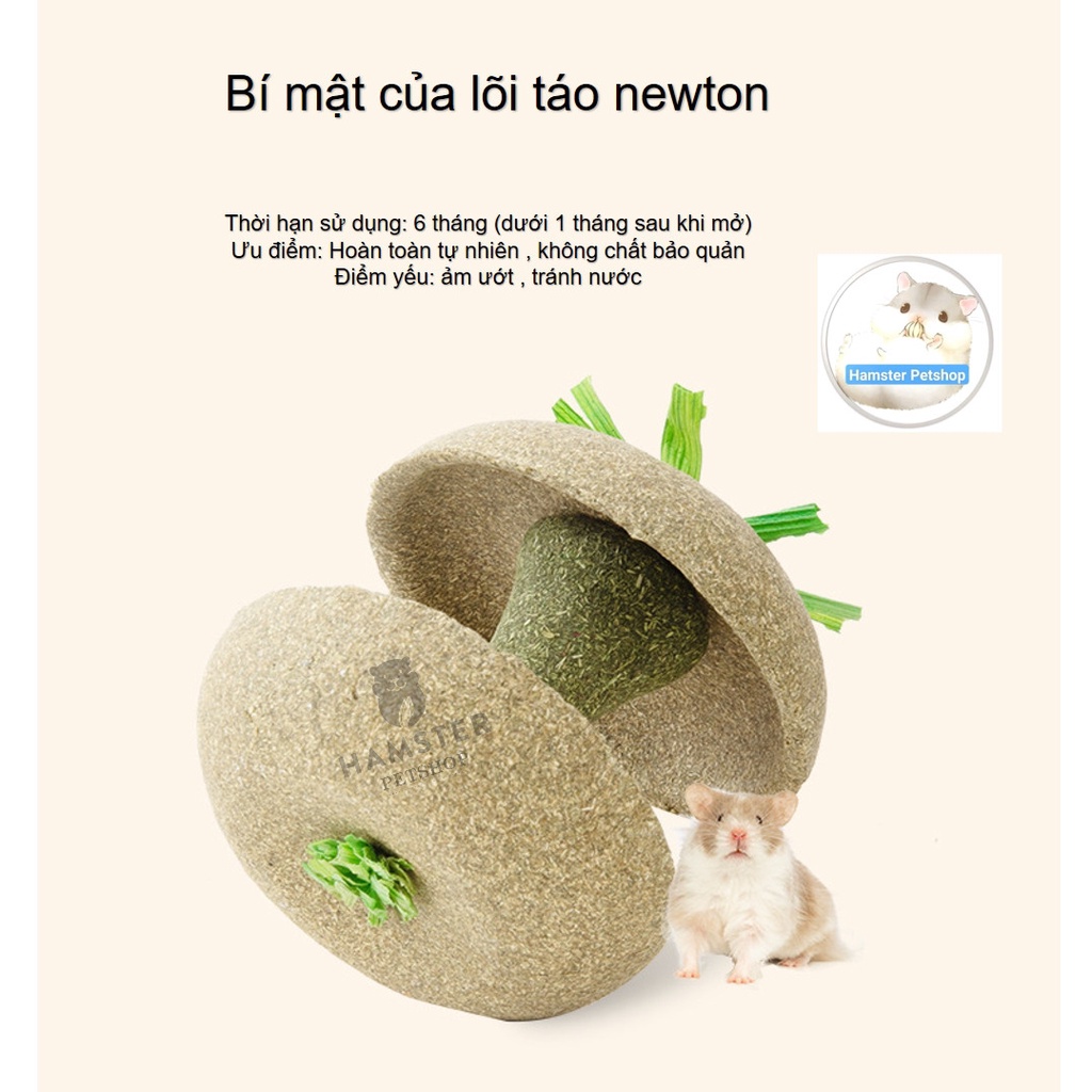 Bát ăn quả táo gặm dở Carno mài răng cho hamster , sóc , nhím