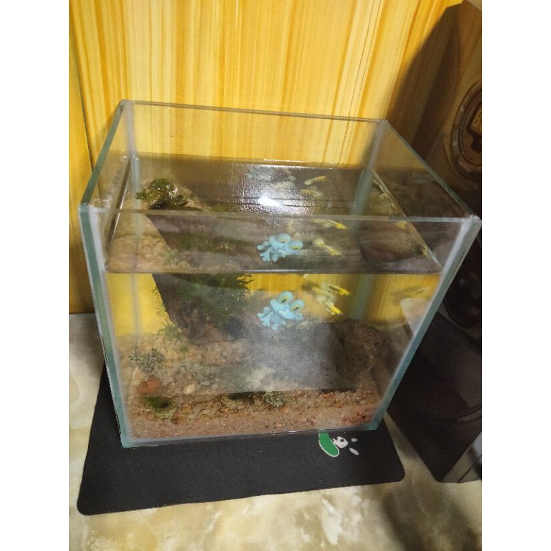 Đã Bán 100 Cái~Hồ Cá MiNi Để Bàn 20x15