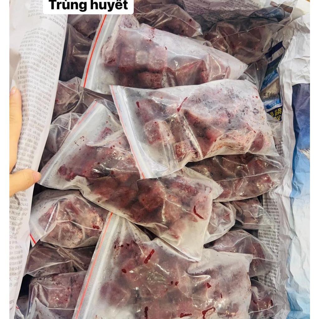 Trùng huyết tươi đông lạnh cho cá cảnh